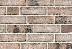 в Санкт-Петербурге титл  купить по низкой цене в Спб альт