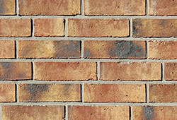 в Санкт-Петербурге титл  купить по низкой цене в Спб альт