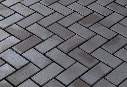 в Санкт-Петербурге титл  купить по низкой цене в Спб альт