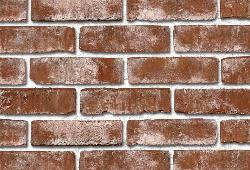 в Санкт-Петербурге титл  купить по низкой цене в Спб альт