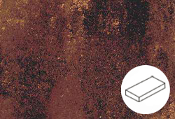 в Санкт-Петербурге титл  купить по низкой цене в Спб альт