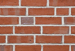 в Санкт-Петербурге титл  купить по низкой цене в Спб альт