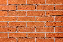 в Санкт-Петербурге титл  купить по низкой цене в Спб альт