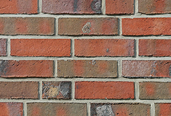 в Санкт-Петербурге титл  купить по низкой цене в Спб альт