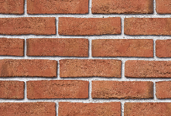 в Санкт-Петербурге титл  купить по низкой цене в Спб альт