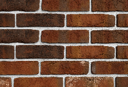 в Санкт-Петербурге титл  купить по низкой цене в Спб альт