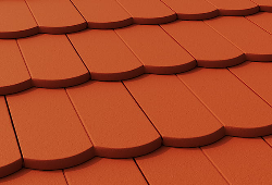 в Санкт-Петербурге титл  купить по низкой цене в Спб альт