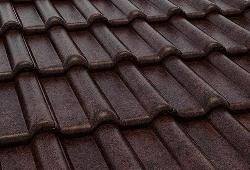 в Санкт-Петербурге титл  купить по низкой цене в Спб альт