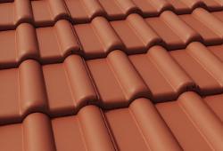 в Санкт-Петербурге титл  купить по низкой цене в Спб альт