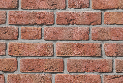 в Санкт-Петербурге титл  купить по низкой цене в Спб альт