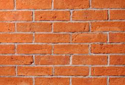 в Санкт-Петербурге титл  купить по низкой цене в Спб альт