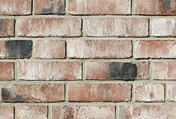 в Санкт-Петербурге титл  купить по низкой цене в Спб альт