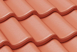 в Санкт-Петербурге титл  купить по низкой цене в Спб альт