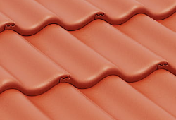 в Санкт-Петербурге титл  купить по низкой цене в Спб альт