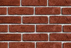 в Санкт-Петербурге титл  купить по низкой цене в Спб альт