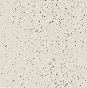 в Санкт-Петербурге титл  купить по низкой цене в Спб альт