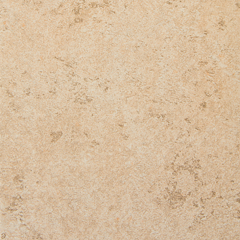 в Санкт-Петербурге титл  купить по низкой цене в Спб альт